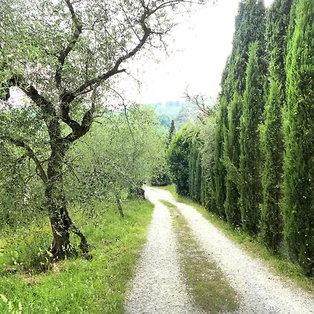 Poggio La Fioraia * Filettole