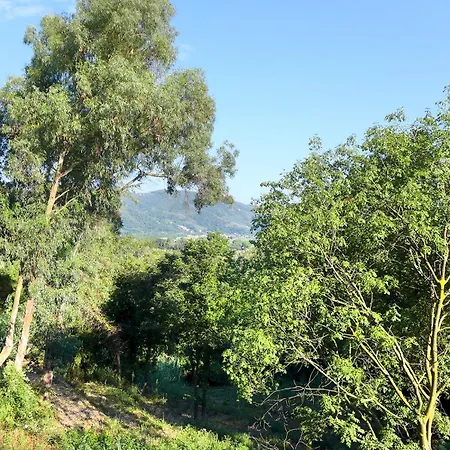 Poggio La Fioraia