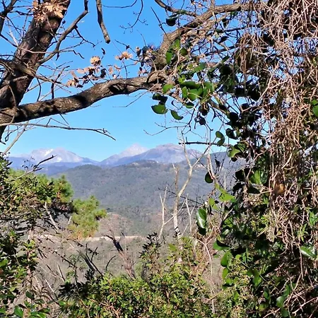 Casa de Férias Poggio La Fioraia *
