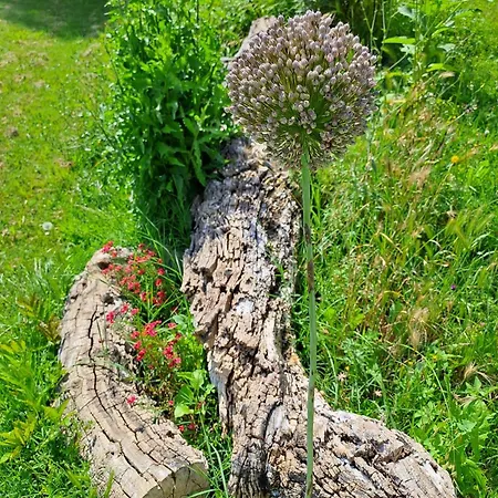 Casa de Férias Poggio La Fioraia Filettole