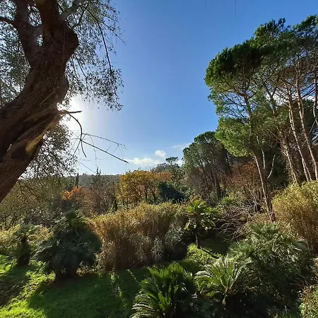Poggio La Fioraia Casa de Férias *