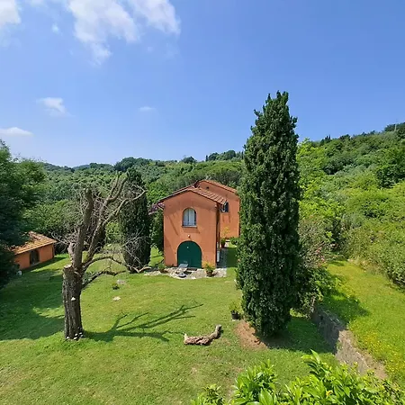 Poggio La Fioraia * Filettole